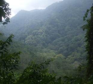 Pura Vida Nationalpark