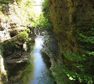 Watkins Glen