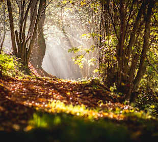 Wandern Geisfeld