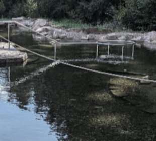 Kinzigsee