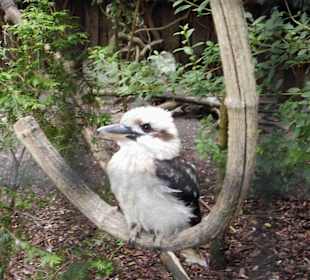 Vogelpark Olching