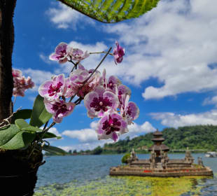 Alles beim Tempel Pura Ulun Danu Bratan