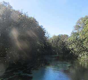 Weeki Wachee River