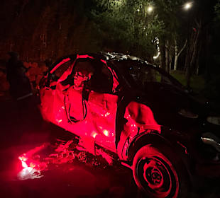 Mondo Verde Halloween