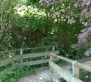 Wanderung Klosterquelle Klosterreichenbach
