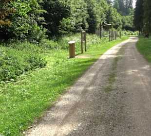 Phäno-Pfad Aichstetten