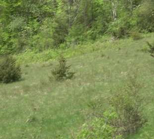 Wandertour durchs Reissenbachtal Oberhausen