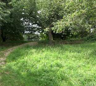 Premiumspazierweg Früchtetrauf-Leisawegle