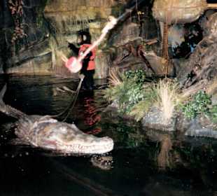 Attraktionen im Phantasialand