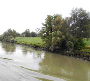 Donau