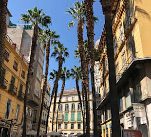 Stadtrundfahrt Malaga