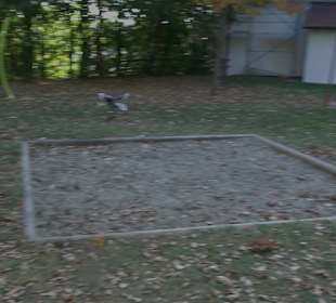 Park an der Grabenkapelle