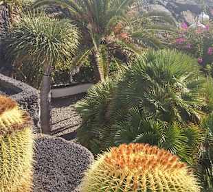 Garten und Außenanlage