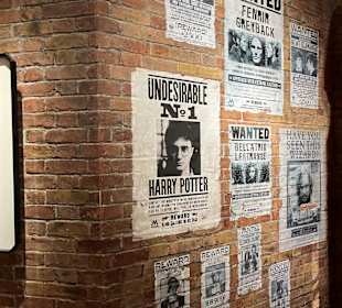 Harry Potter New York Store