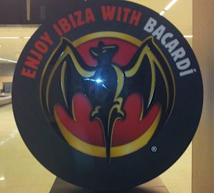 Powitanie na lotnisku 