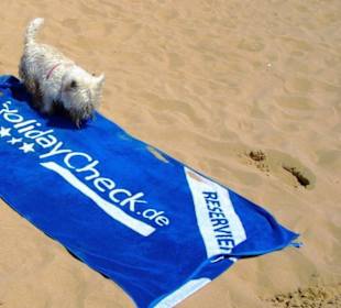 Leider nicht für mich