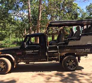 Jeep, mit dem es durch den Nationalpark ging
