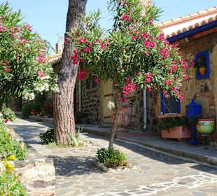Spaziergang durch die Altstadt von Collioure