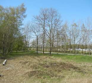 Boberger Niederung