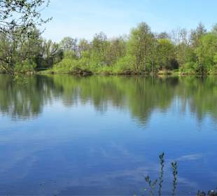 Rundgang um die Ricklinger Kiesteiche