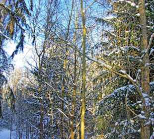 Im Winter