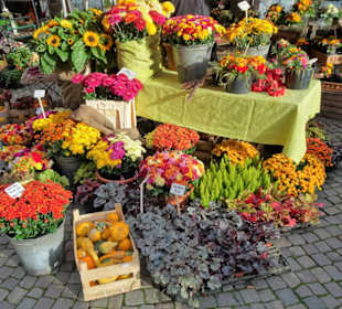 Rundgang über den Wochenmarkt Achim