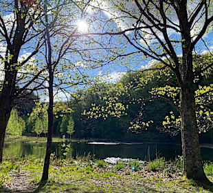 Dahner Rundwanderweg