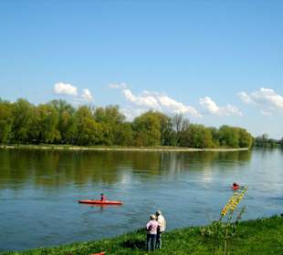 Die Donau bei Mühlham