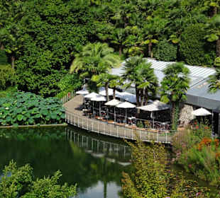 Das Palmen-Café am Seerosenteich