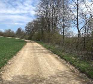 Vulkankrater-Rundweg Apfelstetten
