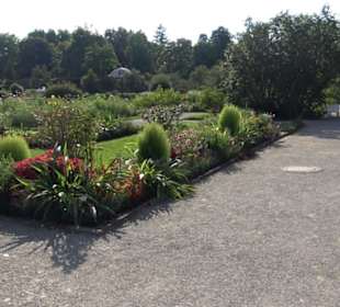 Botanischer Garten München