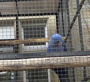 Zoologischer Stadtgarten
