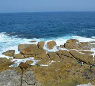 Bondi Beach 