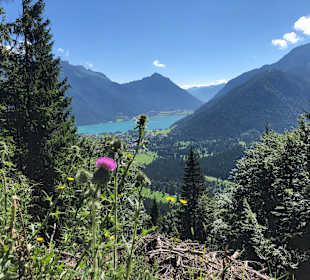 Wandern Pertisau