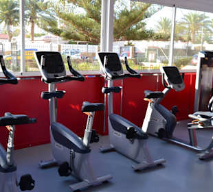 Joe´s Gym