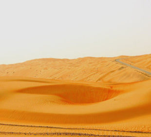 Sanddünen in der Rub al-Khali Wüste - Liwa Oase