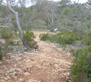 Naturpark Mondragon Fussweg