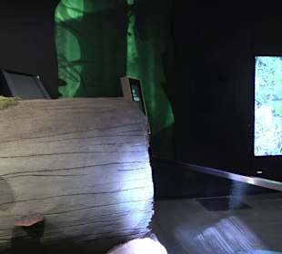 Naturparkzentrum Ruhestein