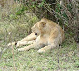 Elsa, als sie noch nicht schlief!
