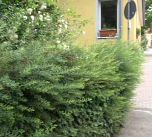 Kunst- und Sinnespfad