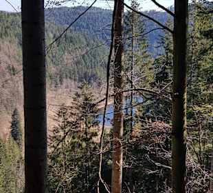 Wandern Freudenstadt