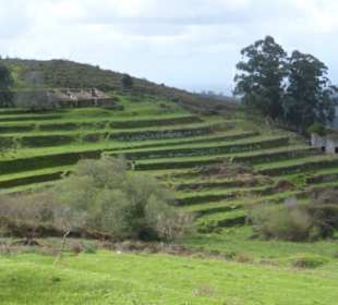Wanderung in der Serra de Monchique