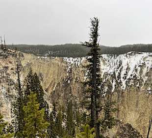 Yellowstone Nationalpark