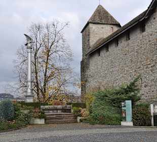 Виды города