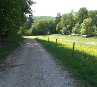 Premiumwanderweg Hochgehschätzt