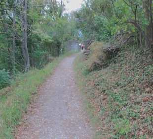 Wanderweg zur Achalm