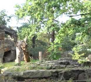 Zoologischer Garten