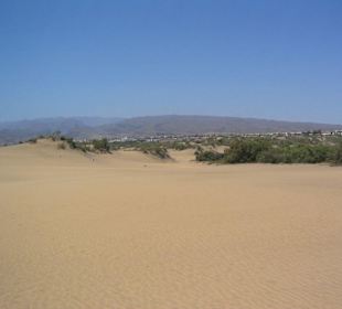 Dünen von Maspalomas