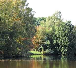 Impressionen vom Spaziergang am Drielaker See
