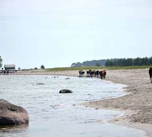 Öland Strand